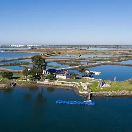 Barcos Casa Ostraveiro Botel Aveiro